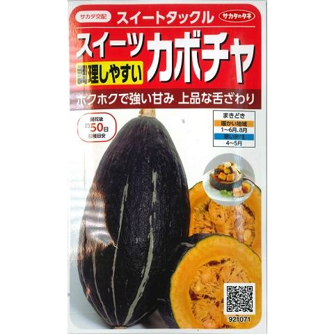サカタのタネ（サカタノタネ） 【スイーツカボチャ】スイートタックル