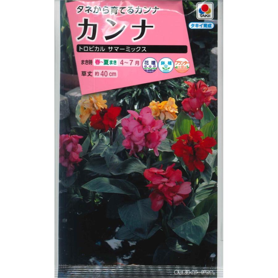 カンナ トロピカル サマーミックス タキイ種苗 5ml 春まき cannatpmix Hana Uta 米沢園芸 Yahoo 店 通販 Yahoo ショッピング