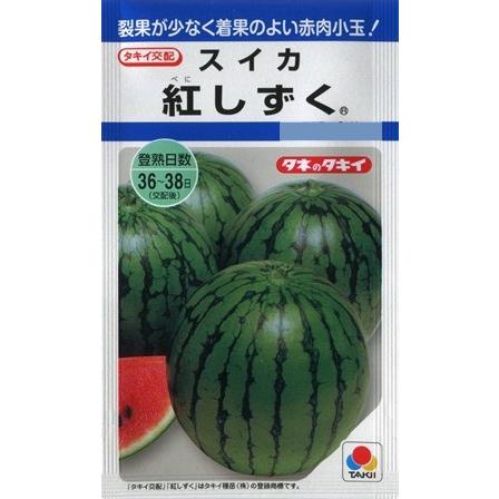 サカタのタネ（サカタノタネ） 【スイカ】紅しずく 【タキイ交配】（8