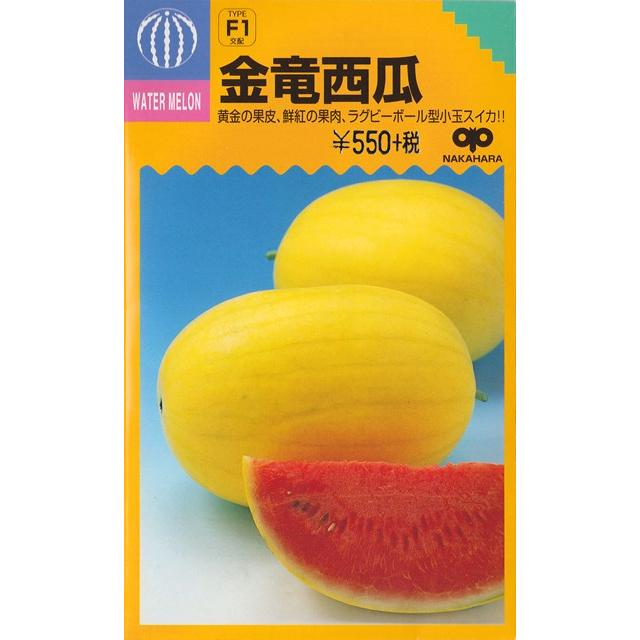 小玉スイカ】金竜西瓜 【中原採種場】（10粒）野菜種[春まき] : Hana