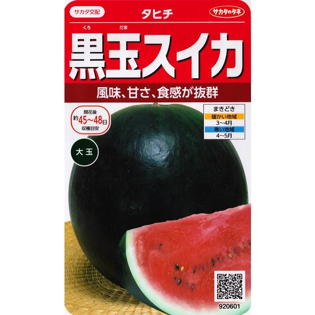 黒玉スイカ タヒチ サカタのタネ 13粒 野菜種 春まき 9601