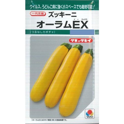 サカタのタネ（サカタノタネ） 【ズッキーニ】オーラムEX【タキイ種苗