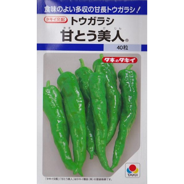 甘とう美人 35粒 春まき野菜種df Preprod Acm Mc