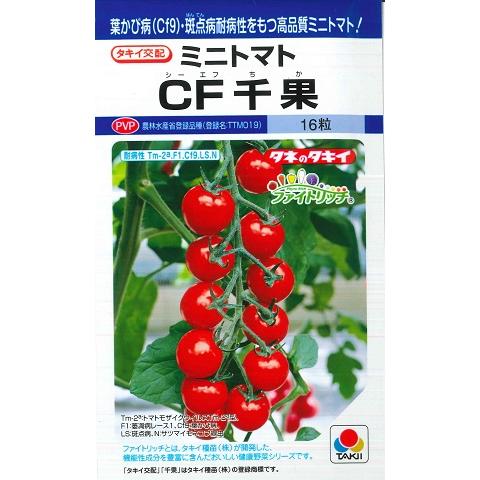 ミニトマトのタネ yoshitaninougei_683