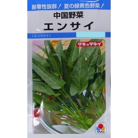 中国野菜 エンサイ エンツァイ タキイ種苗 15ml 野菜種 Mf 空芯菜 ブランド激安セール会場 春まき