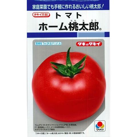 サカタのタネ（サカタノタネ） 【トマト】ホーム桃太郎 【タキイ種苗