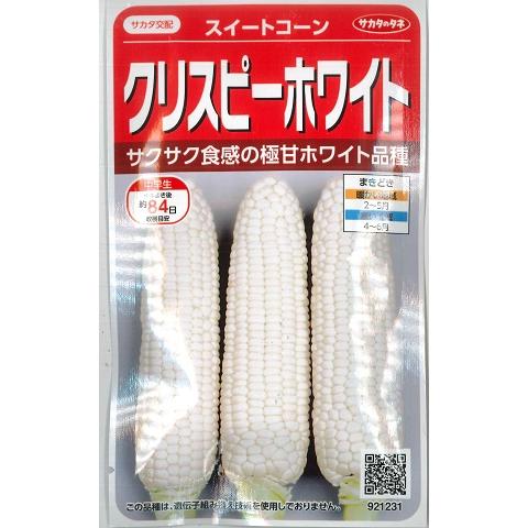 サカタのタネ（サカタノタネ） 【スイートコーン】クリスピーホワイト