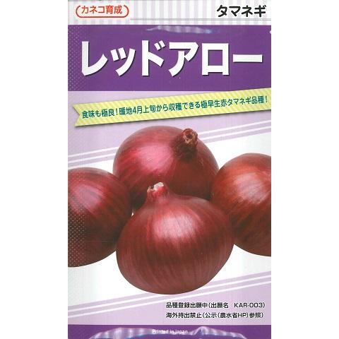 タマネギ】赤タマネギ レッドアロー（極早生） 【カネコ種苗】野菜種