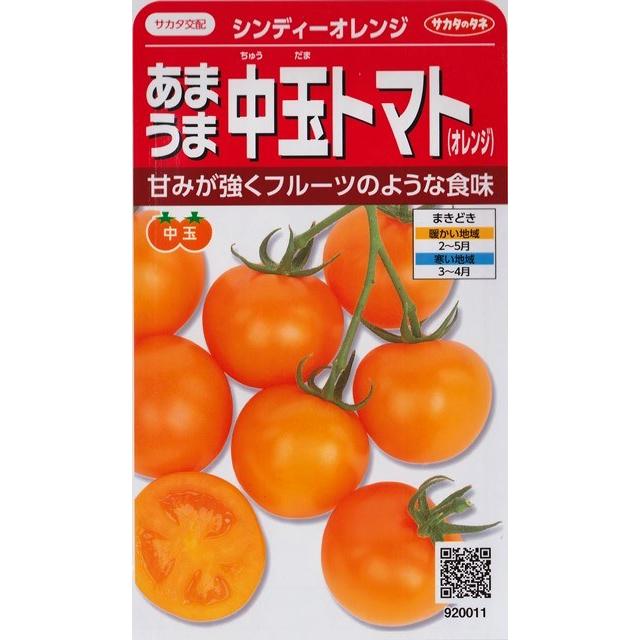 とまと出品 トマト F1ミニトマト 種・小袋 （0.4ml） 爆買いweek : 苗木部 花