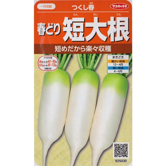 ダイコン つくし春 サカタ一代交配 3ml 野菜種 サカタのタネ 春まき tukusiharu Hana Uta 米沢園芸 Yahoo 店 通販 Yahoo ショッピング