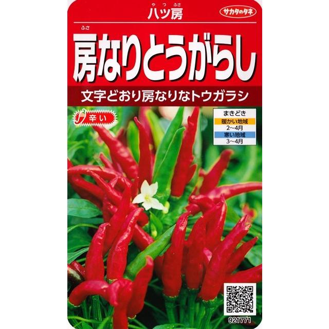 房なりとうがらし 八ツ房 サカタのタネ 2ml 野菜種 トウガラシ 春まき yatufusa Hana Uta 米沢園芸 Yahoo 店 通販 Yahoo ショッピング