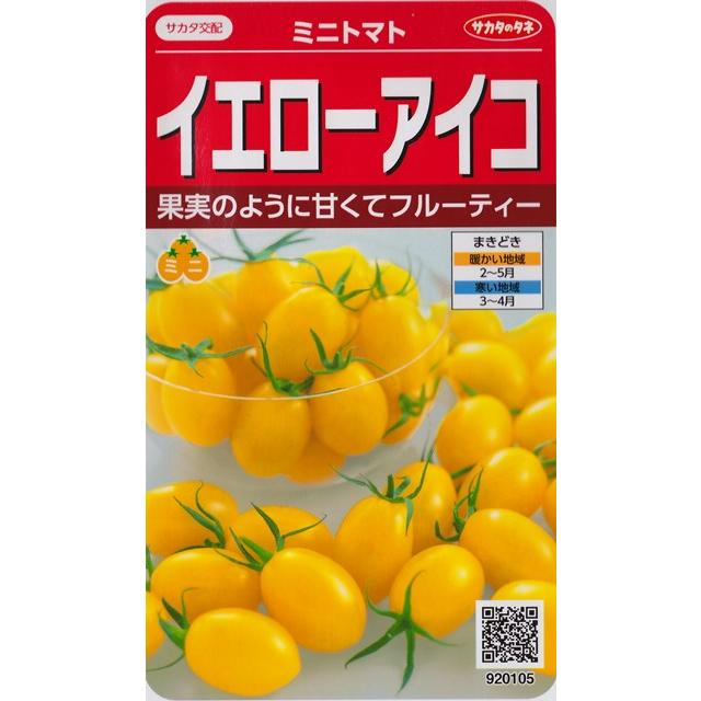 ミニトマト】イエローアイコ【サカタ交配】（13粒）野菜種[春まき