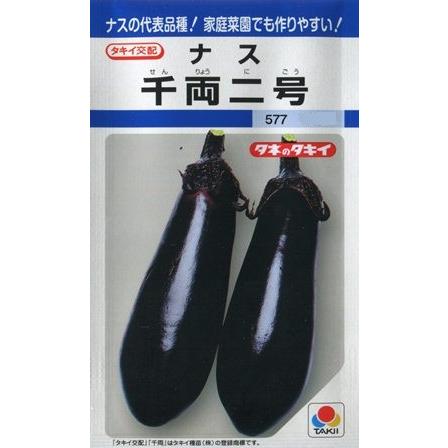 サカタのタネ（サカタノタネ） 【ナス】千両二号【タキイ種苗】（50粒