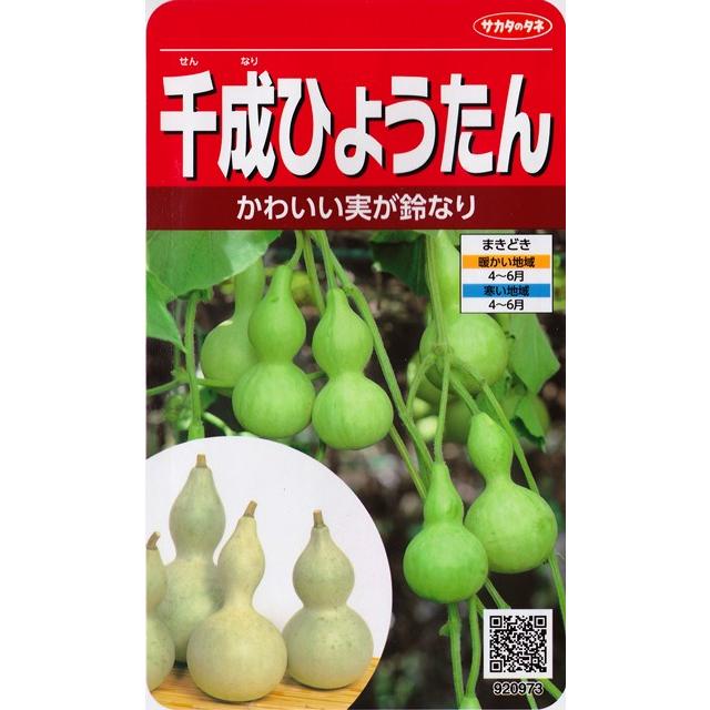 千成ひょうたん 【サカタのタネ】（8ml）野菜種[春まき]920973