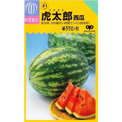 スイカ】虎太郎西瓜【中原採種場】（10粒）野菜種[春まき] : Hana Uta