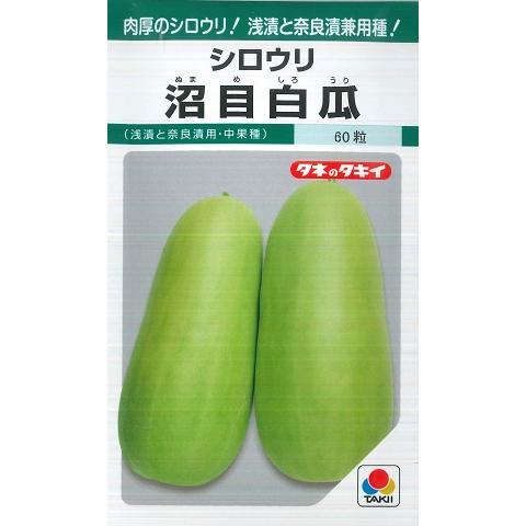 【シロウリ】沼目白瓜【タキイ種苗】（60粒）野菜種[春まき]GF : Hana Uta 米沢園芸 Yahoo!店 - 通販 - Yahoo ...