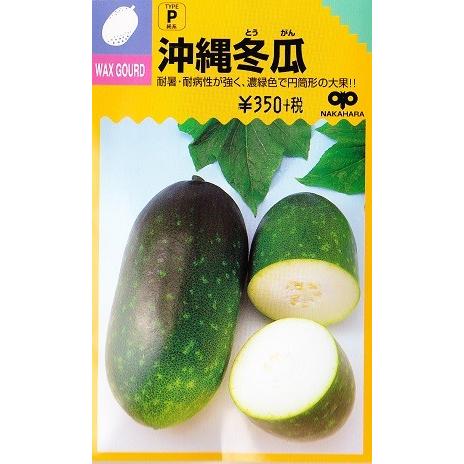 トウガン】沖縄冬瓜【中原採種場】（約30粒）野菜種[春まき] : Hana