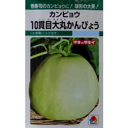 サカタのタネ（サカタノタネ） 【カンピョウ】10貫目大丸かんぴょう