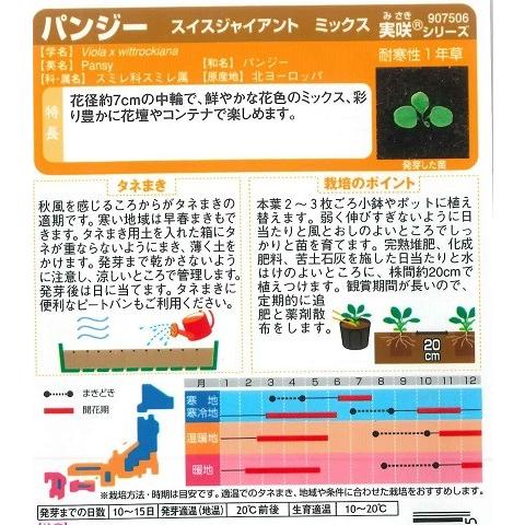 パンジー スイスジャイアントミックス サカタのタネ 0 1ml 耐寒性一年草 秋まき swissjmix Hana Uta 米沢園芸 Yahoo 店 通販 Yahoo ショッピング