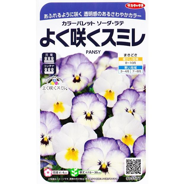 パンジー よく咲くスミレ ソーダ ラテ カラーパレット サカタのタネ 30粒 耐寒性一年草 yokusakusoda Hana Uta 米沢園芸 Yahoo 店 通販 Yahoo ショッピング
