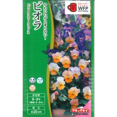 サカタのタネ（サカタノタネ） 【ビオラ】ビビ アンティークミックス