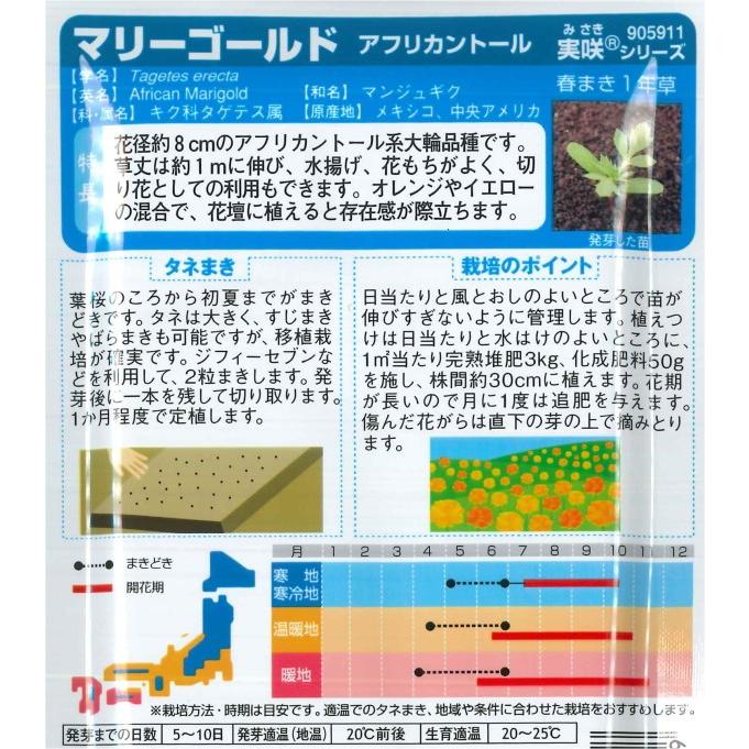 景観用 マリーゴールド アフリカントール ボリュームパック 3g 着後レビューで 送料無料 秋まき サカタのタネ 春まき