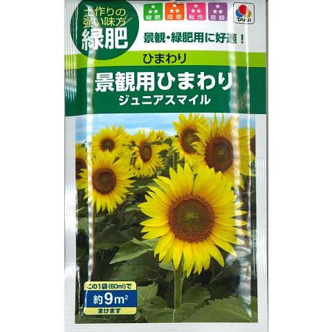 サカタのタネ 【緑肥用ひまわり】ジュニアスマイル(60ml サカタのタネ 【緑肥用ひまわり】ジュニアスマイル(60ml