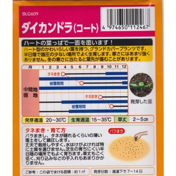 ダイコンドラ ダイカンドラ コート タキイ種苗 ml グランドカバーに ディコンドラ ディカンドラ 春まき 秋まき takiidichondra Hana Uta 米沢園芸 Yahoo 店 通販 Yahoo ショッピング
