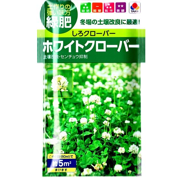 サカタのタネ 【緑肥・景観に】ホワイトクローバー【タキイ種苗