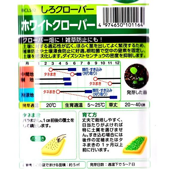 【緑肥・景観に】ホワイトクローバー【タキイ種苗】（60ml）しろクローバー[春まき][秋まき]｜yonezawaengei｜02