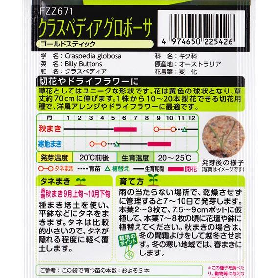 サカタのタネ（サカタノタネ） 【クラスペディア グロボーサ】ゴールド