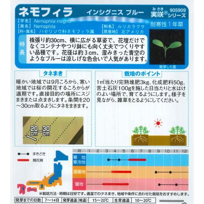 景観用ネモフィラ インシグニスブルー ボリュームパック 2g 秋まき サカタのタネ メイルオーダー
