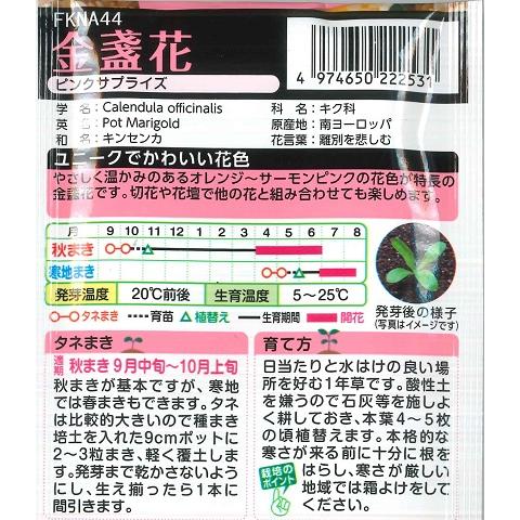 サカタのタネ（サカタノタネ） 【金盞花】ピンクサプライズ【タキイ