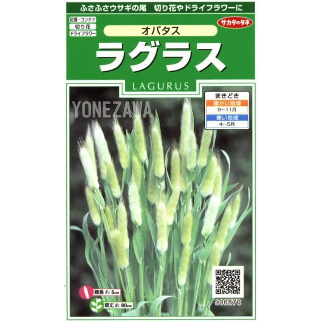 サカタのタネ 【ラグラス】オバタス【サカタのタネ】(1ml サカタのタネ 【ラグラス】オバタス【サカタのタネ】(1ml