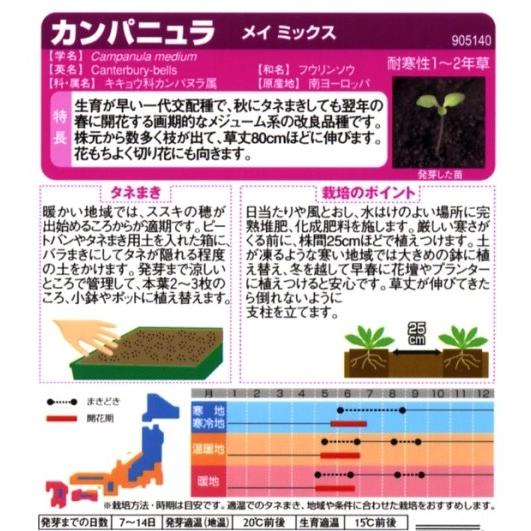 【カンパニュラ】メイミックス【サカタのタネ】一代交配種(0.05ml)【耐寒性1〜2年草】[春まき][秋まき]905140｜yonezawaengei｜02