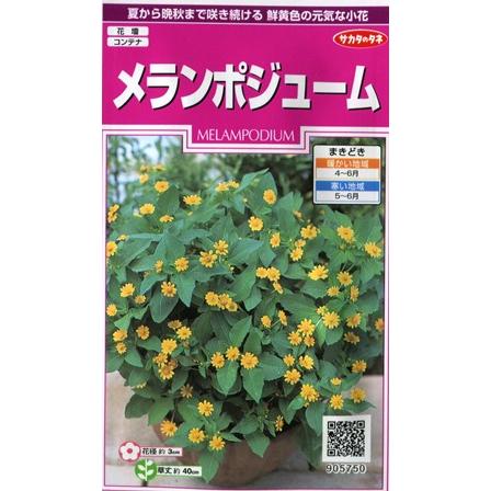 円 正規店仕入れの メランポジューム サカタのタネ 1ml 春まき1年草
