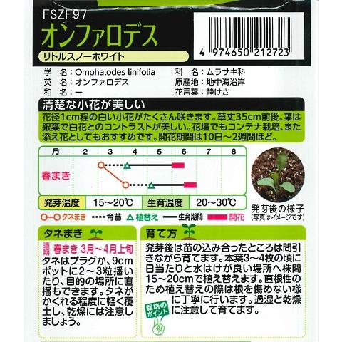 サカタのタネ（サカタノタネ） 【オンファロデス】リトルスノー