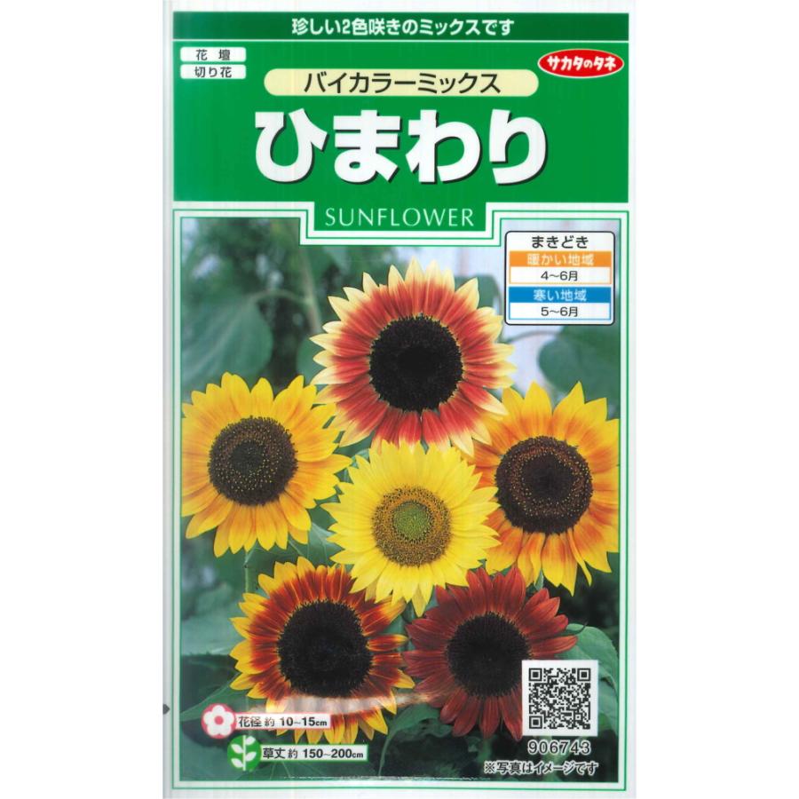 サカタのタネ（サカタノタネ） 【ヒマワリの種】バイカラーミックス