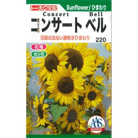ヒマワリの種】コンサートベル（トーホク）2ml : Hana Uta 米沢園芸 