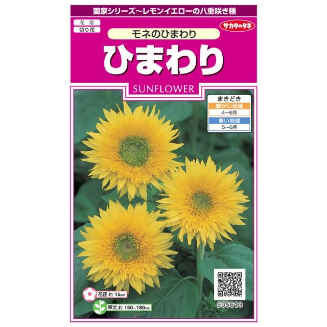 サカタのタネ（サカタノタネ） 【ヒマワリの種】モネのひまわり