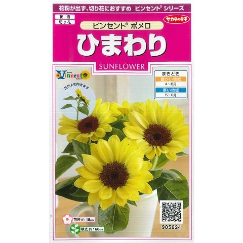 サカタのタネ（サカタノタネ） 【ヒマワリの種】ビンセントポメロ