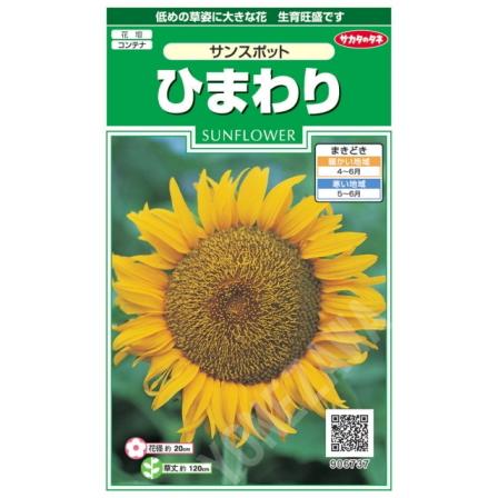 ひまわりさん専用 サカタのタネ（サカタノタネ） 【ヒマワリの種】サンスポット【サカタ