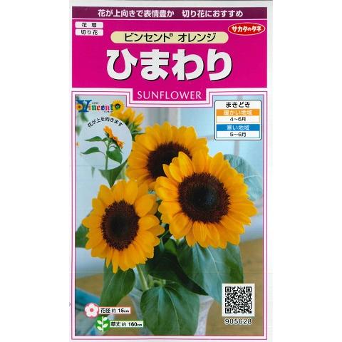 サカタのタネ（サカタノタネ） 【ヒマワリの種】ビンセントオレンジ