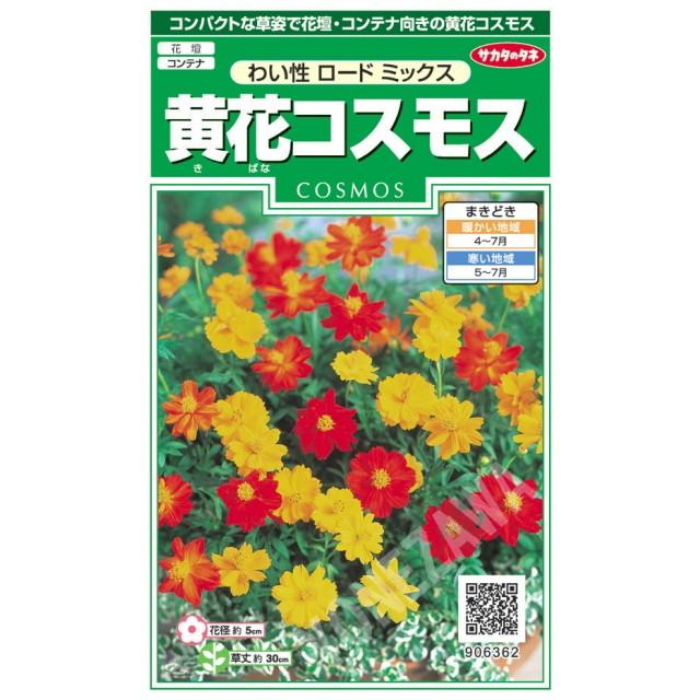 サカタのタネ（サカタノタネ） 【黄花コスモスの種】わい性ロード