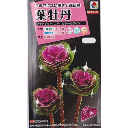 54 Off 葉牡丹の種 ハボタン F１ルシールワイン タキイ交配pvp登録品種 15粒