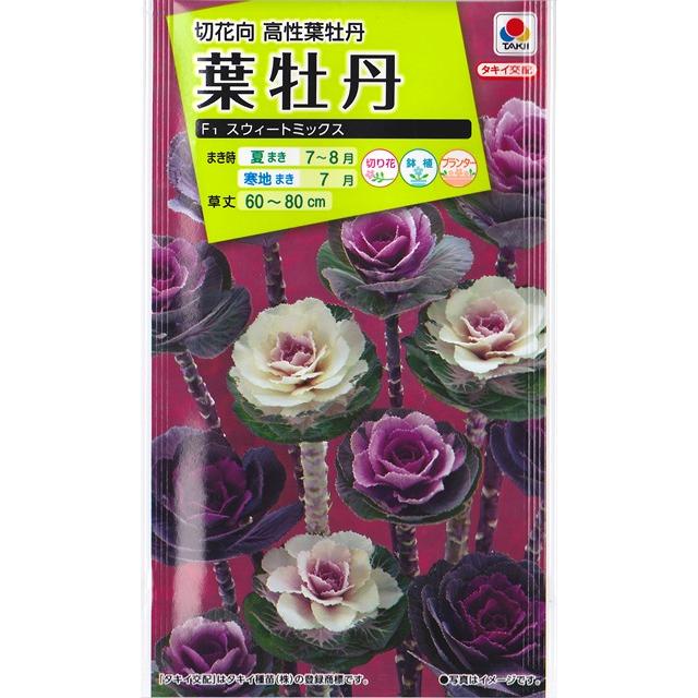 葉牡丹の種 F１ スウィートミックス タキイ交配 0 3ml ハボタン 夏まき sweetmix Hana Uta 米沢園芸 Yahoo 店 通販 Yahoo ショッピング