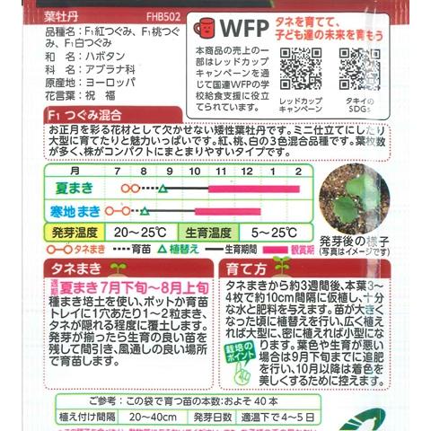 サカタのタネ（サカタノタネ） 【葉牡丹の種】 F1 つぐみ混合【タキイ