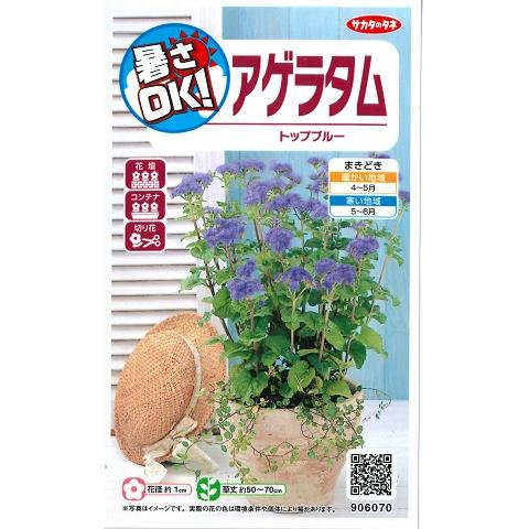 59円 即納 アゲラタム トップブルー サカタのタネ 0 05ml 春まき