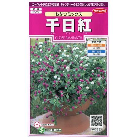 円 最前線の 千日紅 ちなつミックス サカタのタネ 0 3ml 春まき一年草