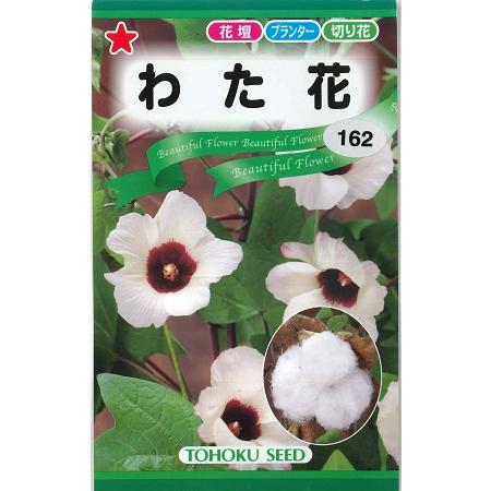 わたの種 わた花 トーホク 4ml 春まき一年草 watatohoku Hana Uta 米沢園芸 Yahoo 店 通販 Yahoo ショッピング